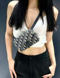 Picture of Dior Handbags _SKUfw239320791fw